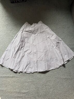 Light blue stripe A-Line Button-Front Women's Skirt